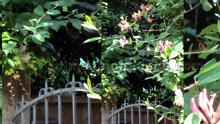 Fotografie dimension-place.com border=